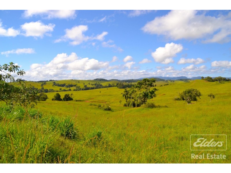 Tarzali QLD 4885