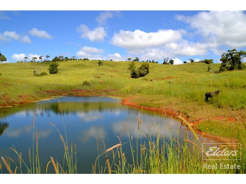 Tarzali QLD 4885