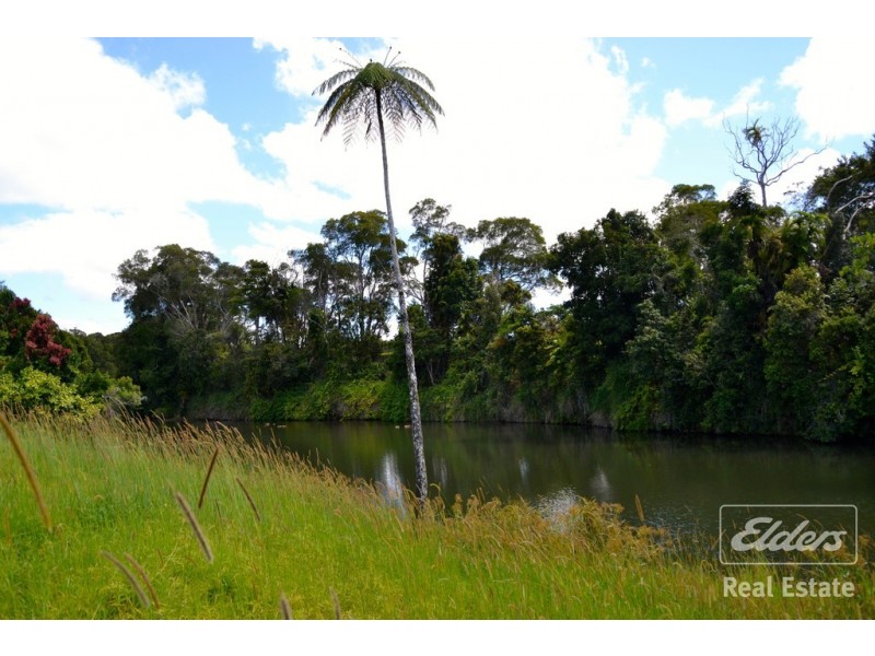 Tarzali QLD 4885