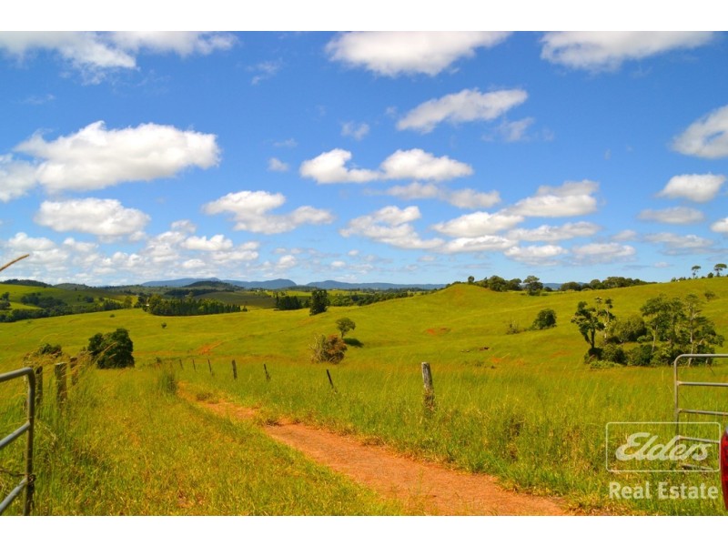 Tarzali QLD 4885