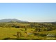 Tarzali QLD 4885