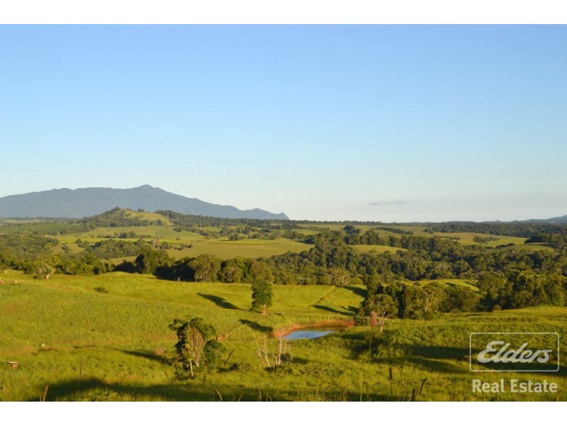 Tarzali QLD 4885