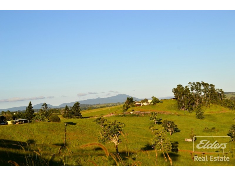 Tarzali QLD 4885