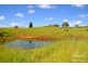 Tarzali QLD 4885