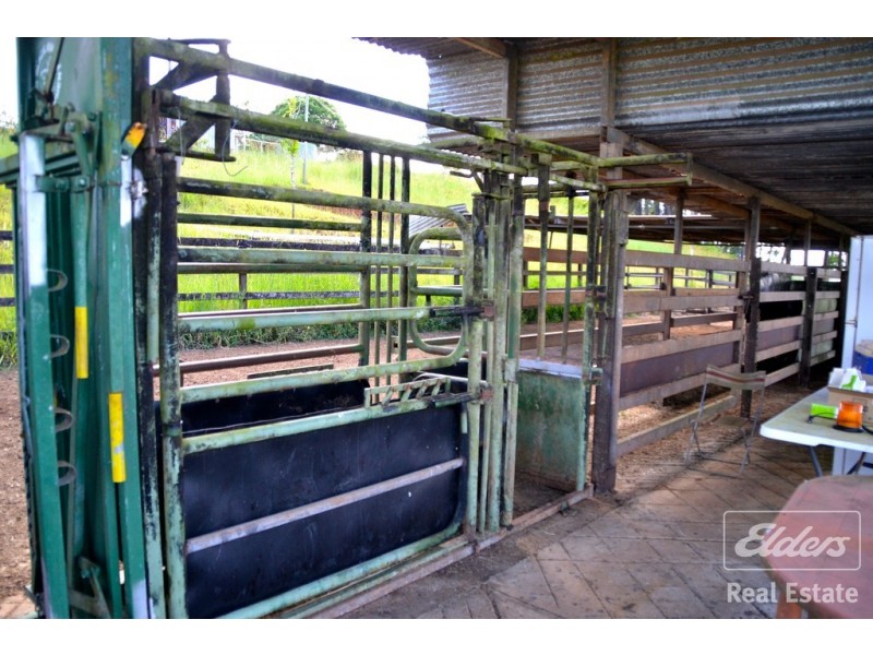 Tarzali QLD 4885