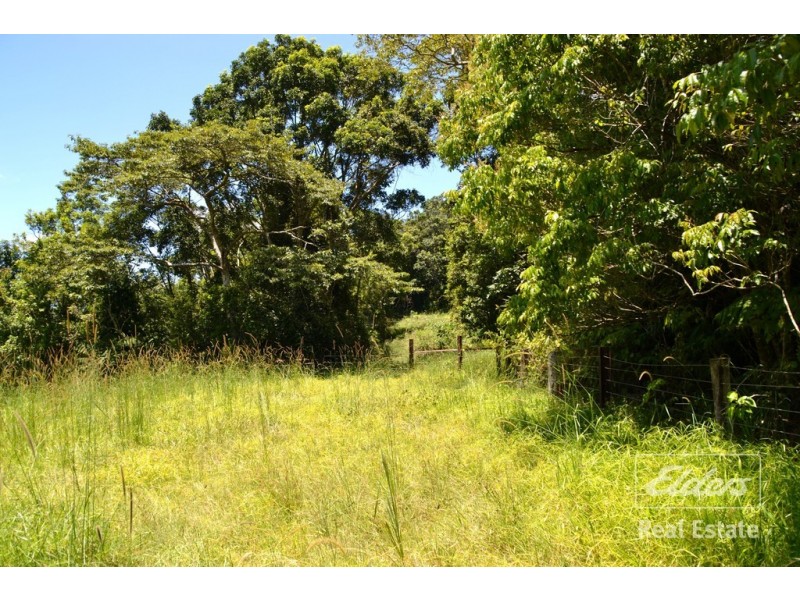 Tarzali QLD 4885