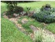 Yungaburra QLD 4884