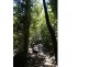 Lake Barrine QLD 4884