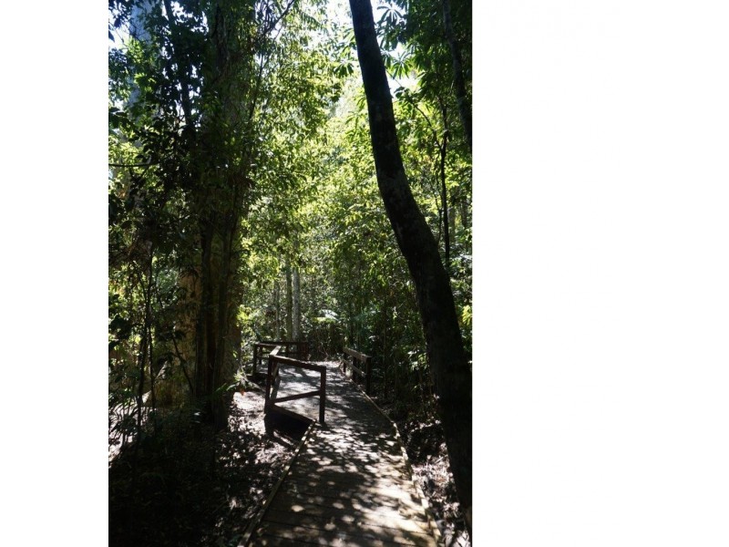 Lake Barrine QLD 4884