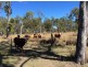 Innot Hot Springs QLD 4872