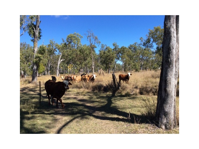 Innot Hot Springs QLD 4872