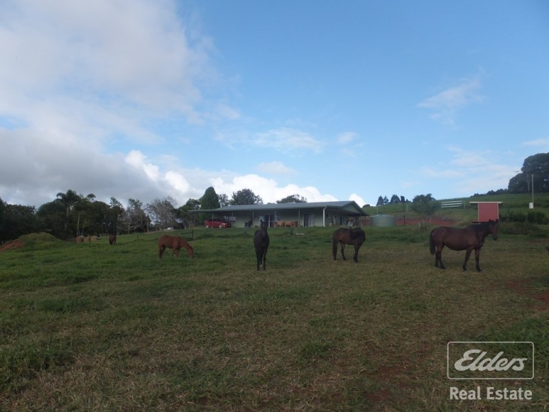 Malanda QLD 4885