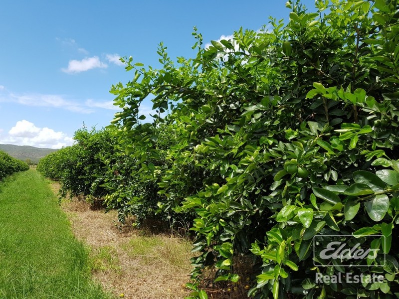 Dimbulah QLD 4872
