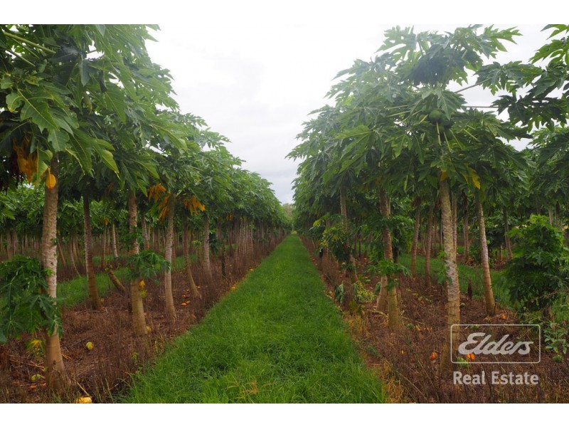 Dimbulah QLD 4872