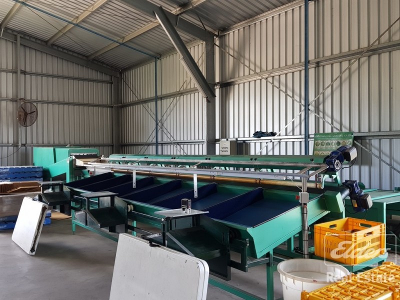 Dimbulah QLD 4872