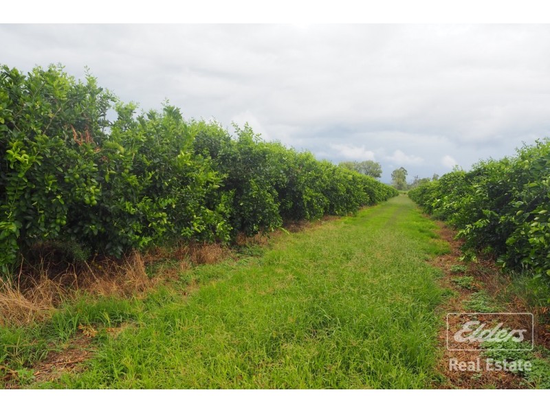 Dimbulah QLD 4872