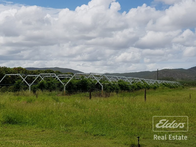 Dimbulah QLD 4872