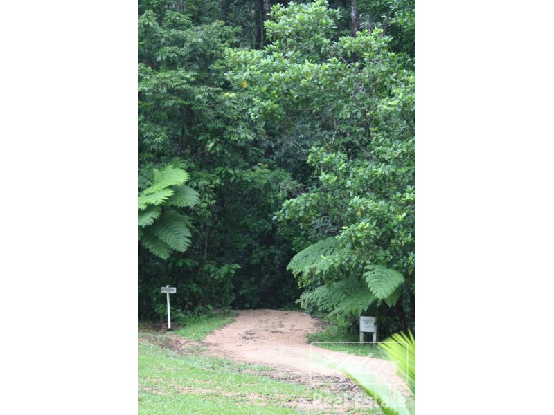 Tarzali QLD 4885