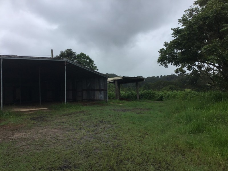 Millaa Millaa QLD 4886