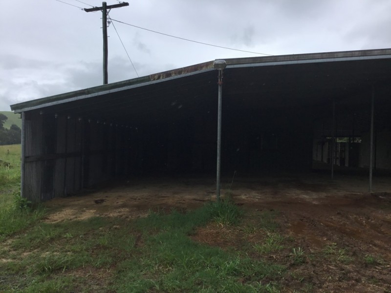 Millaa Millaa QLD 4886