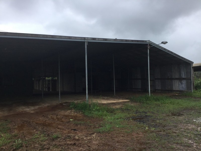 Millaa Millaa QLD 4886