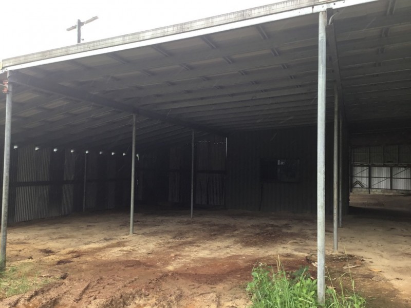 Millaa Millaa QLD 4886