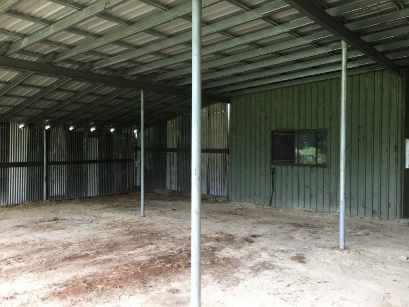 Millaa Millaa QLD 4886