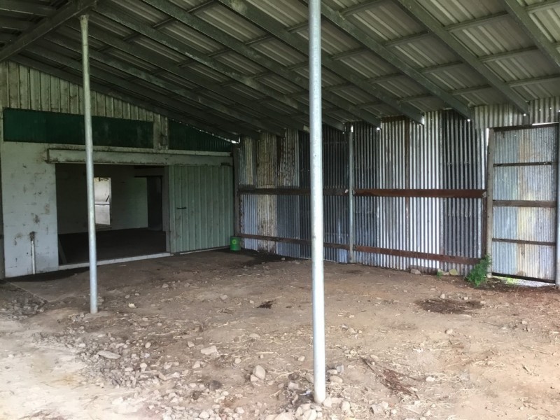 Millaa Millaa QLD 4886