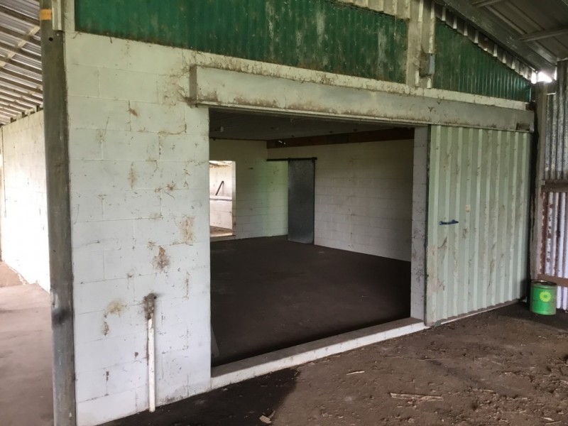 Millaa Millaa QLD 4886
