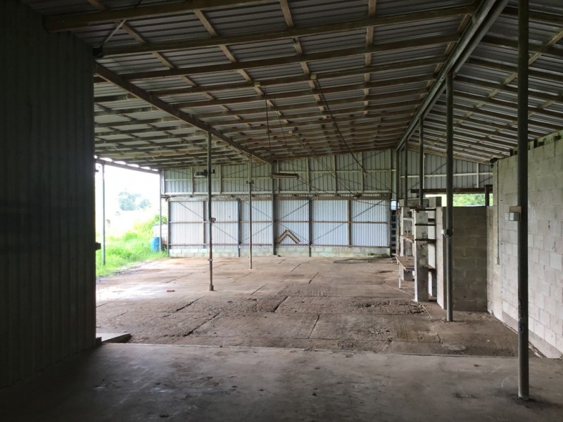 Millaa Millaa QLD 4886