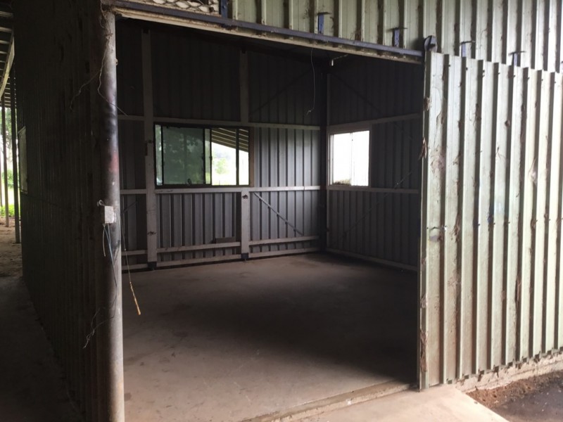 Millaa Millaa QLD 4886