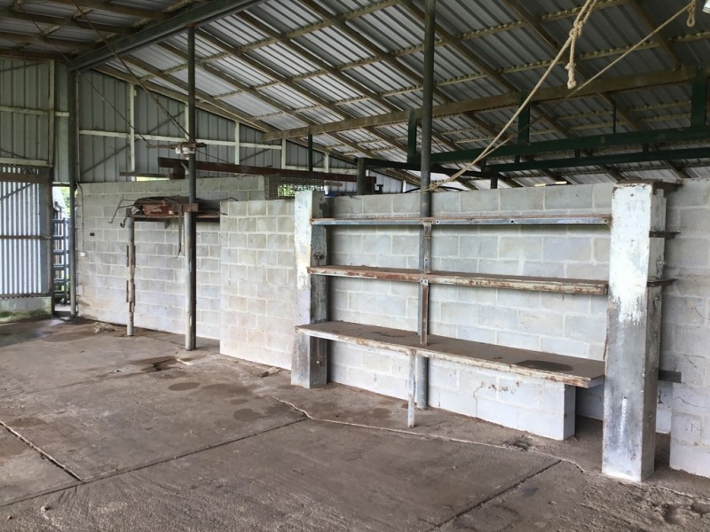 Millaa Millaa QLD 4886