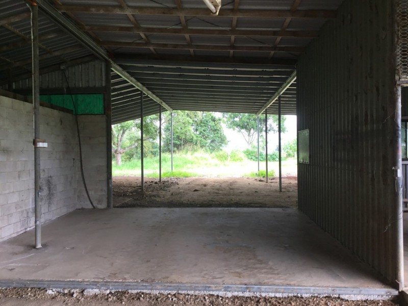 Millaa Millaa QLD 4886