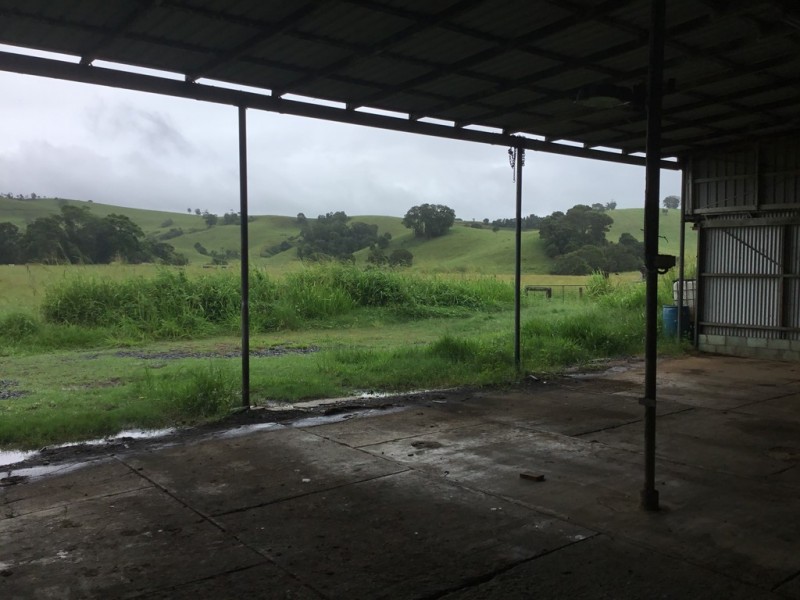 Millaa Millaa QLD 4886