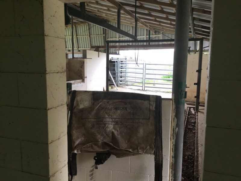 Millaa Millaa QLD 4886