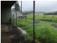 Millaa Millaa QLD 4886