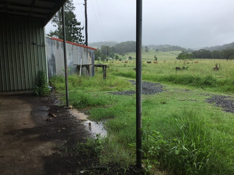 Millaa Millaa QLD 4886