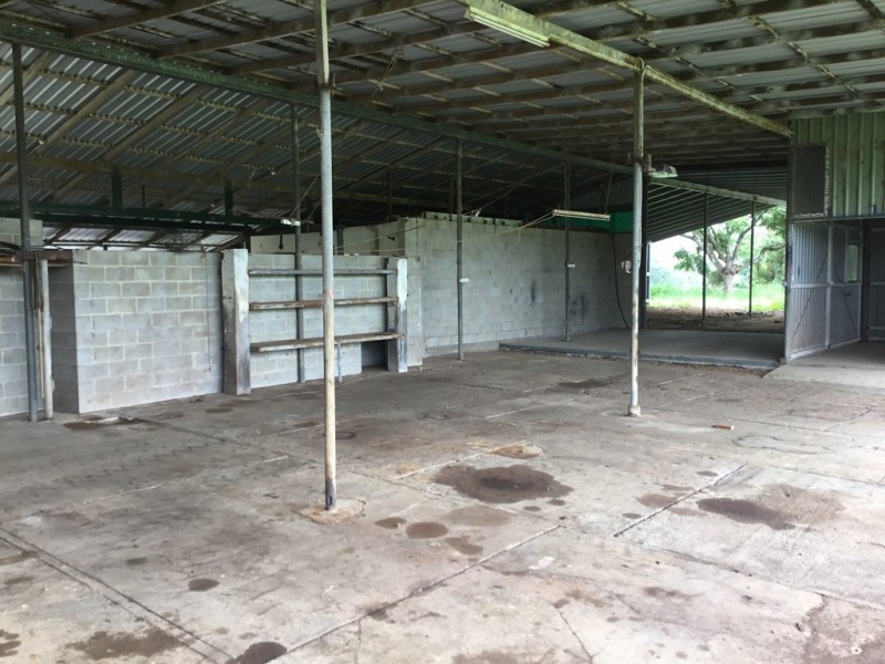 Millaa Millaa QLD 4886