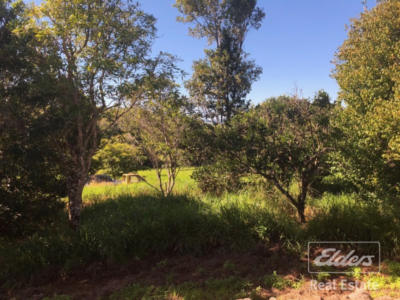 Tarzali QLD 4885