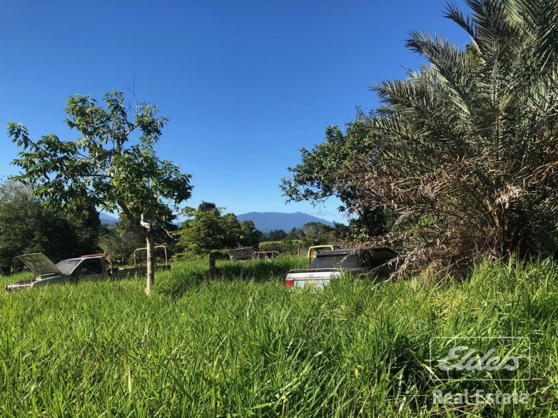 Tarzali QLD 4885