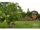 Yungaburra QLD 4884