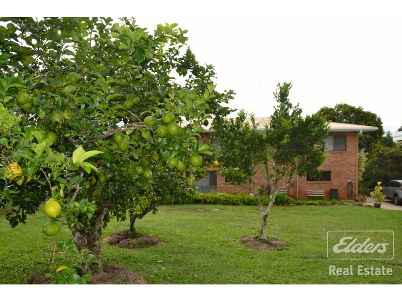 Yungaburra QLD 4884