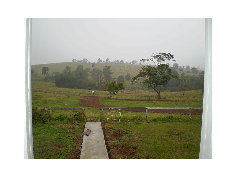 Yungaburra QLD 4884
