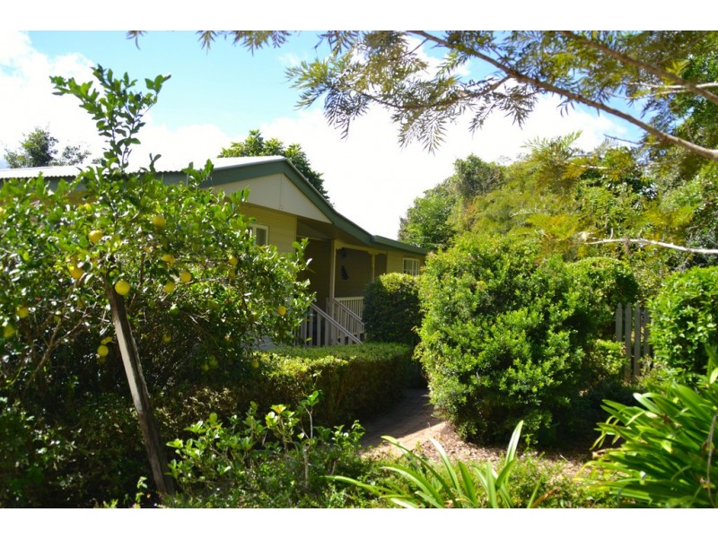 Yungaburra QLD 4884