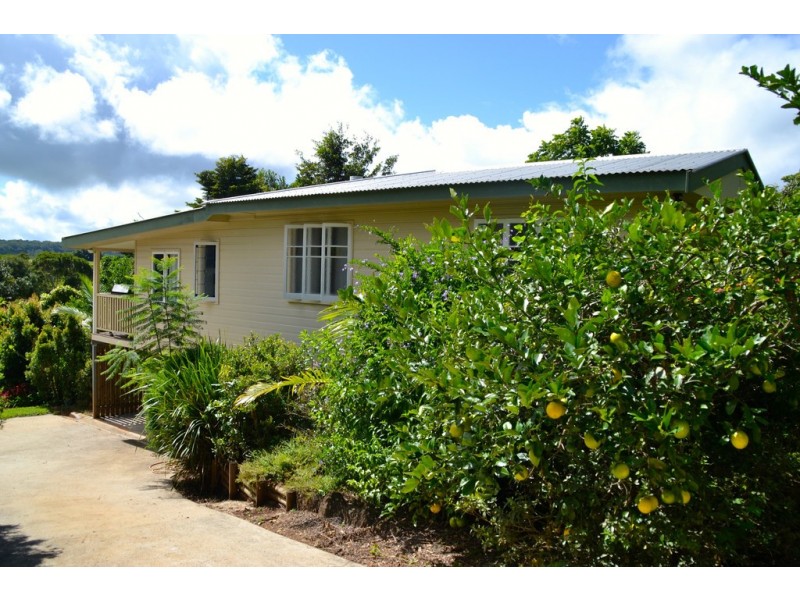 Yungaburra QLD 4884