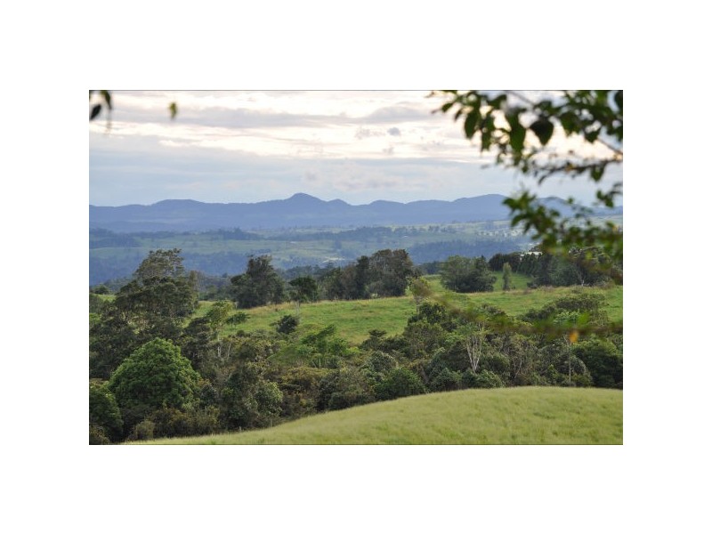 113 King Rd, Malanda QLD 4885