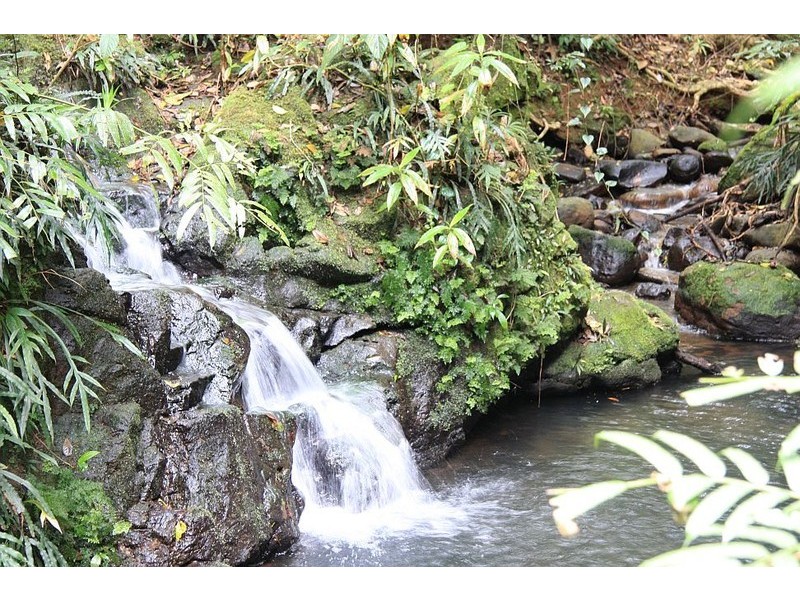 1301 Glen Allyn Rd, Malanda QLD 4885