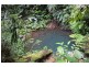 1301 Glen Allyn Rd, Malanda QLD 4885