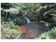 1301 Glen Allyn Rd, Malanda QLD 4885