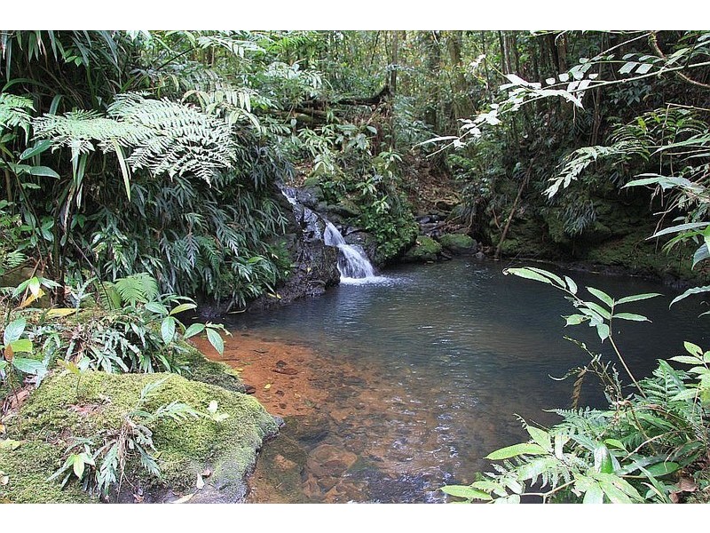 1301 Glen Allyn Rd, Malanda QLD 4885